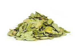 Cassia